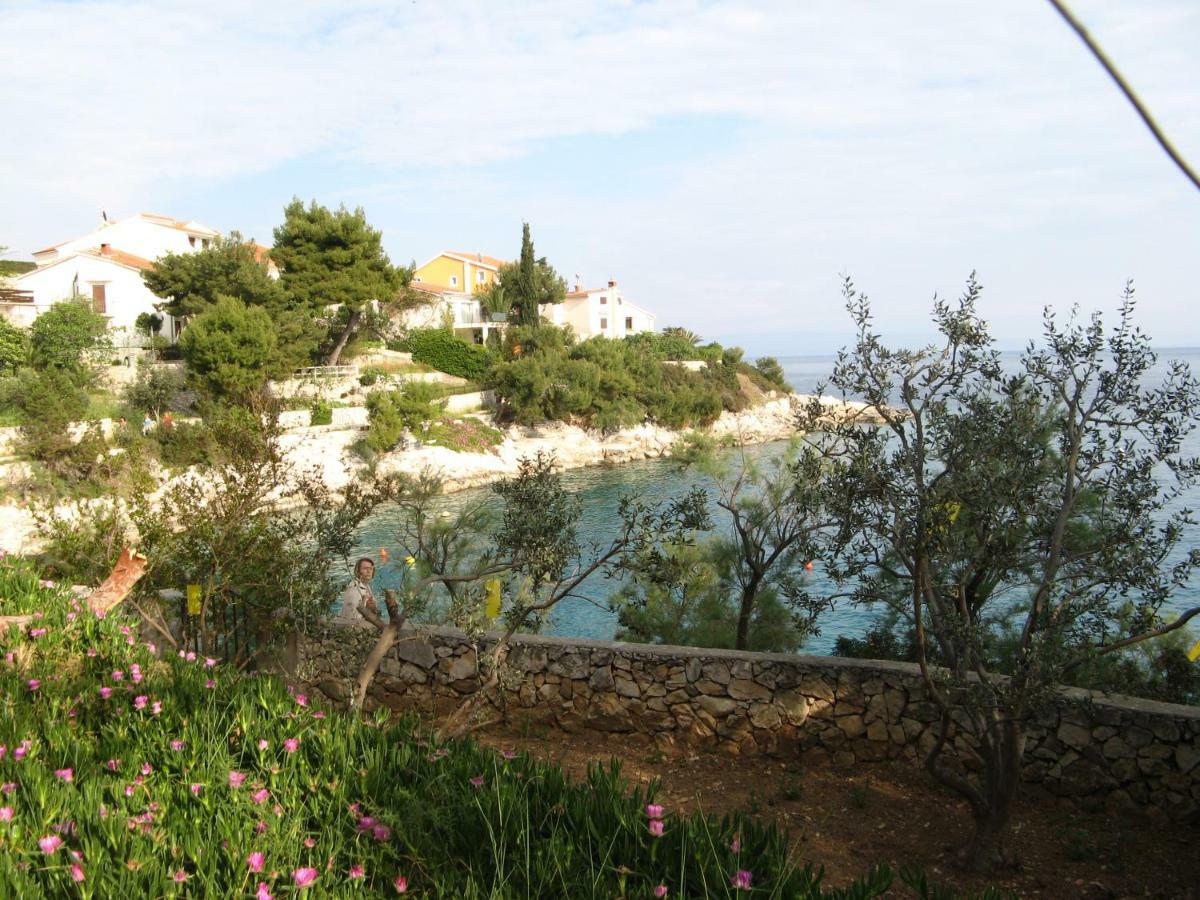 Apartment Otok 2